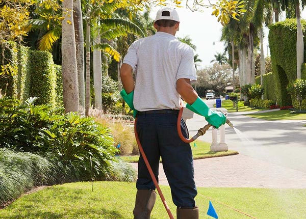 About Bergoo WV Pest Control